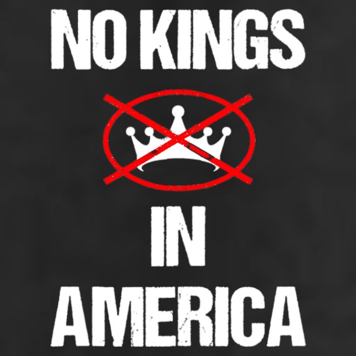 No Kings In America Supreme Court Protest Beanie