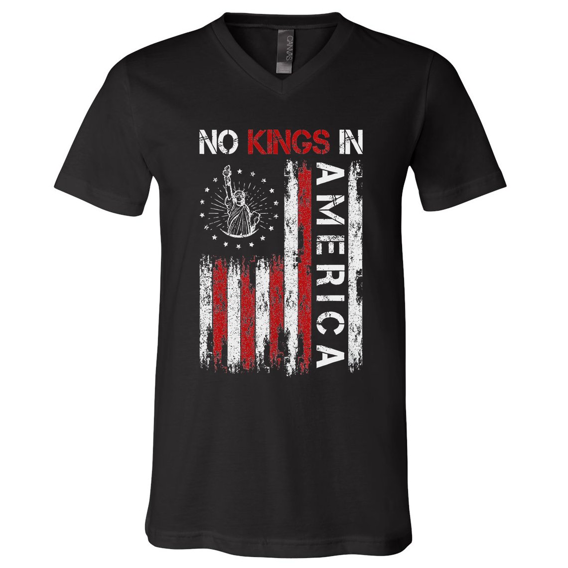 No Kings In America V-Neck T-Shirt