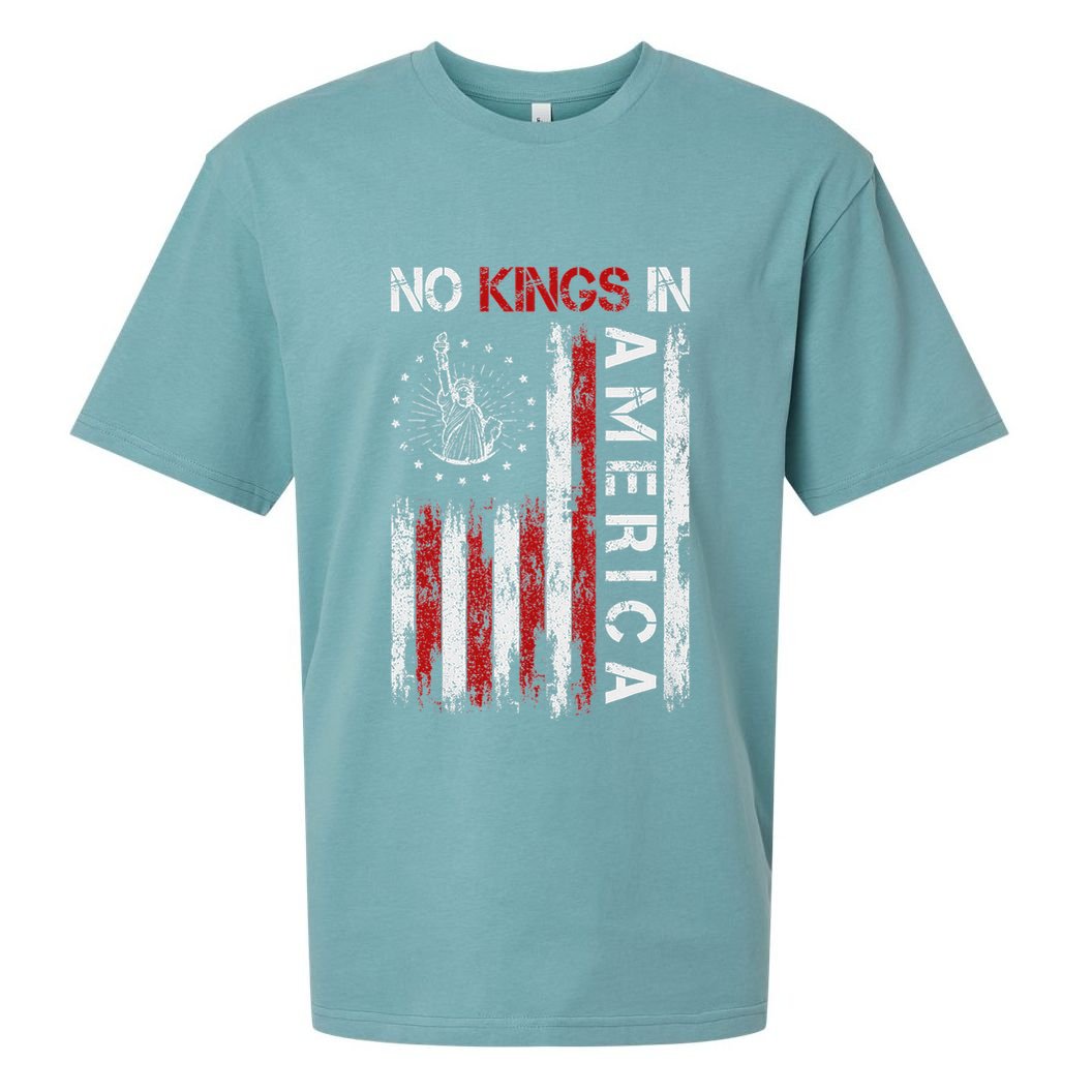No Kings In America Sueded Cloud Jersey T-Shirt