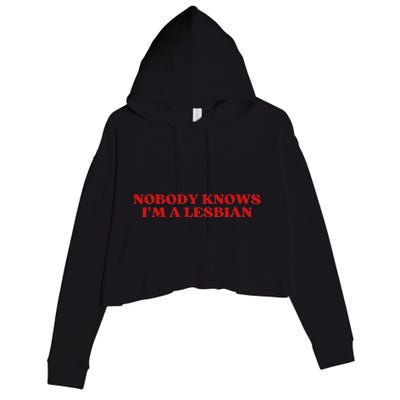 Nobody Knows Im A Lesbian Aesthetic Crop Fleece Hoodie