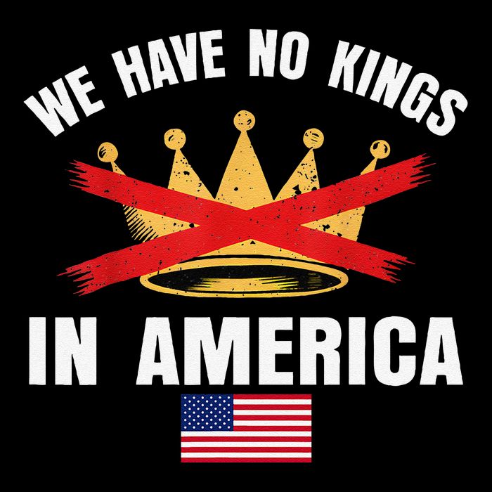 No Kings In America Court Ruling Protest Save Democracy Usa Flat Bill Trucker Hat