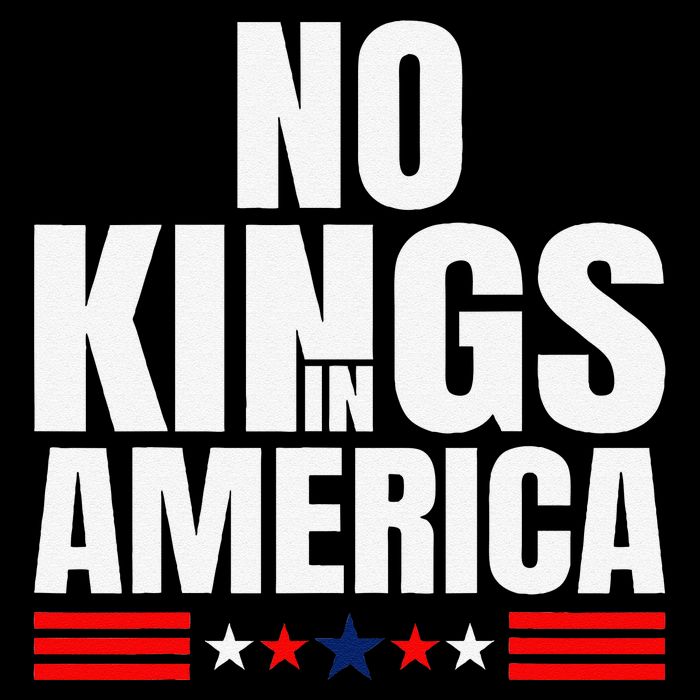 No Kings In America Court Ruling Protest Save Democracy Usa Doggie Tank