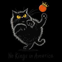 No Kings In America We The People Political Tall T-Shirt