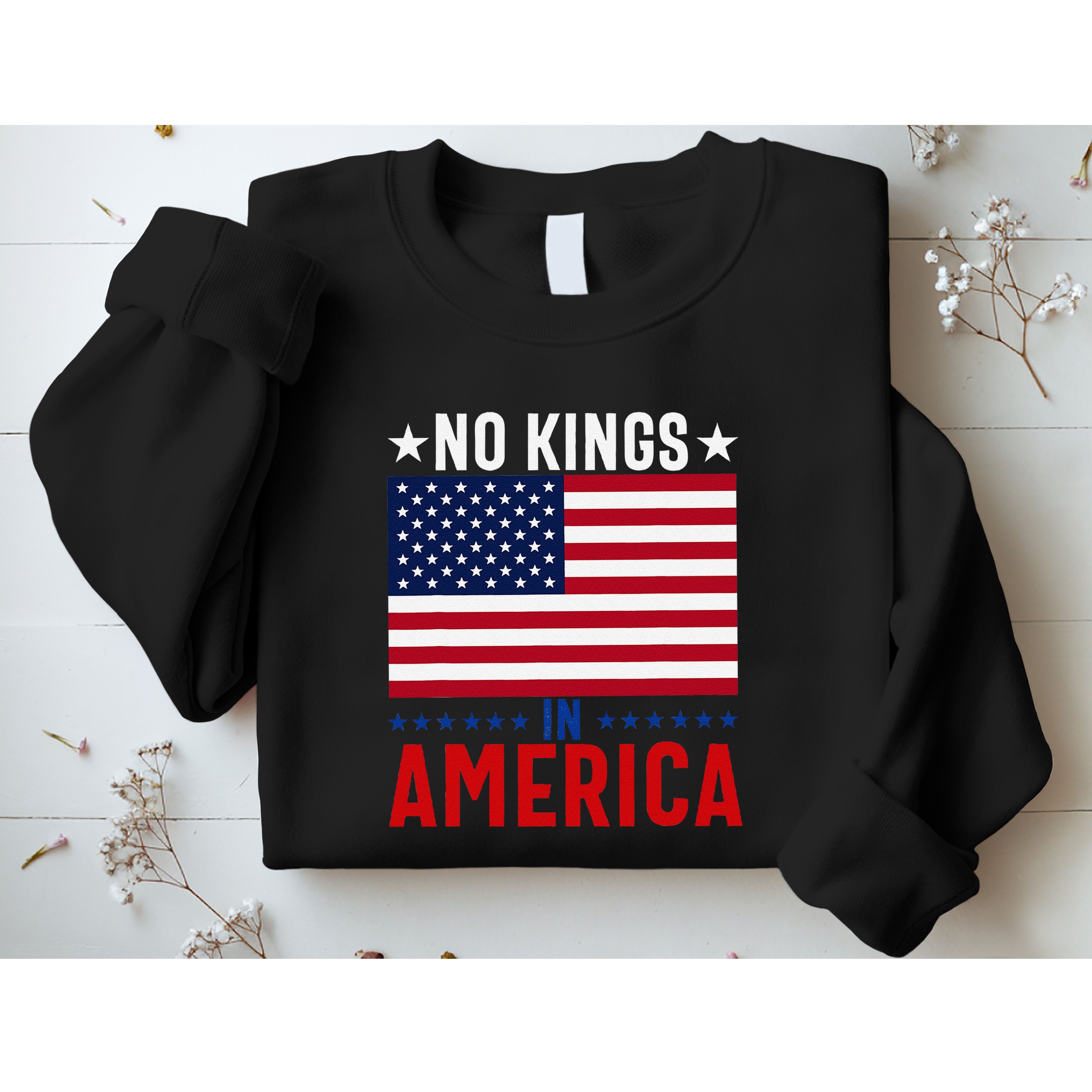 No Kings In America Flag Protest Save Democracy Sweatshirt