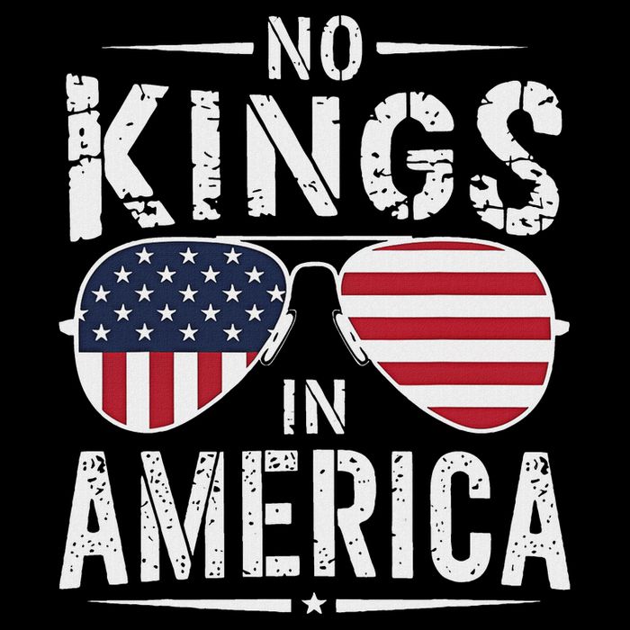 No Kings In America Sunglasses Us Flag Funny Anti Trump Zip Tote Bag