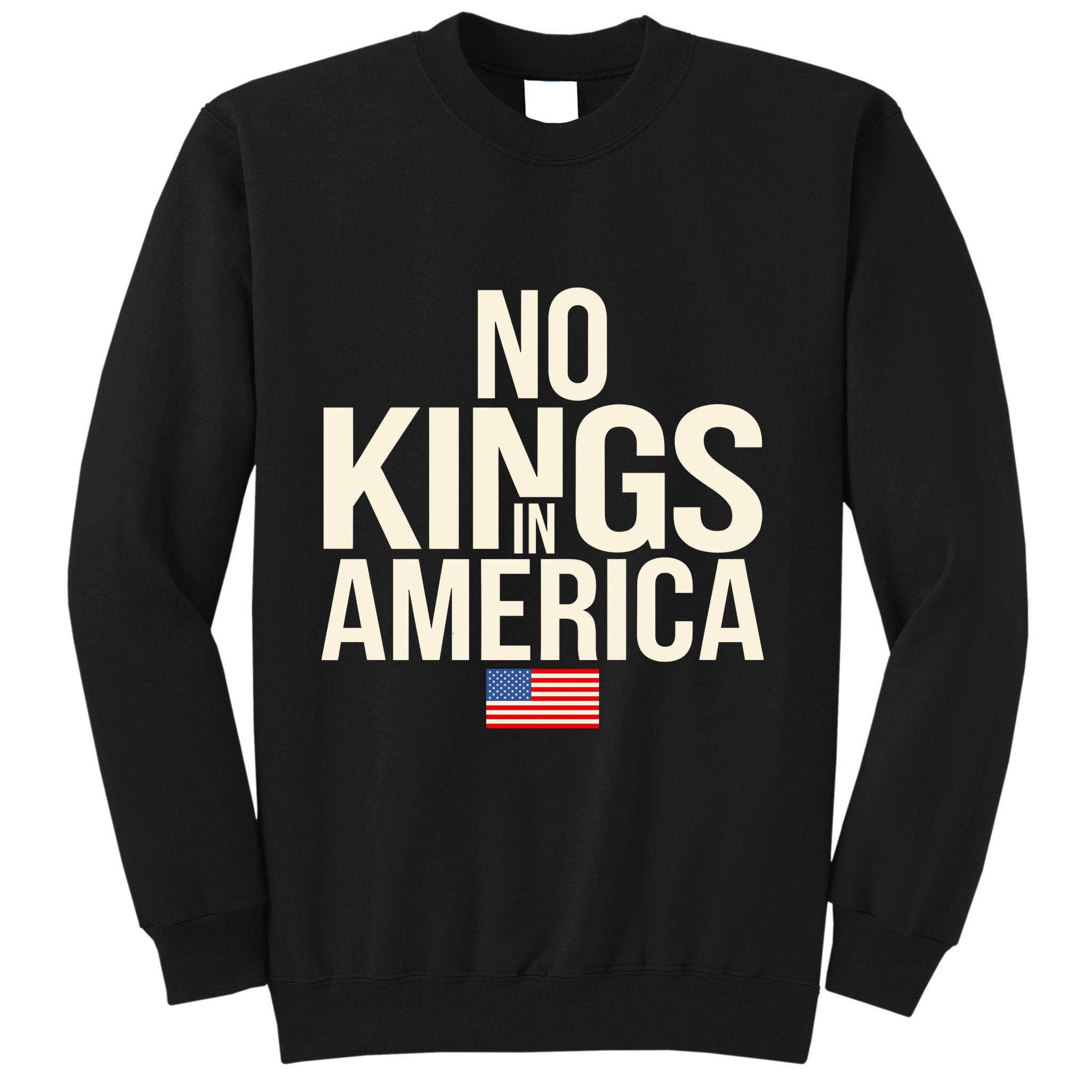 No Kings In America Democracy United States Independence Sweatshirt