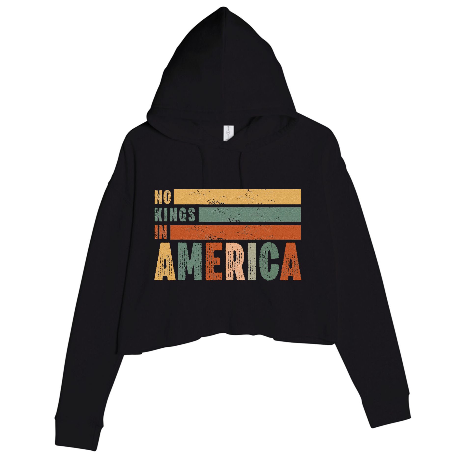 No Kings In America Flag Protest Save Democracy Crop Fleece Hoodie