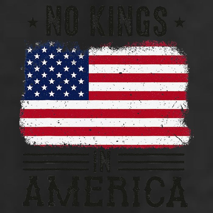 No Kings In America Flag Protest Save Democracy Adult Drive Performance Visor