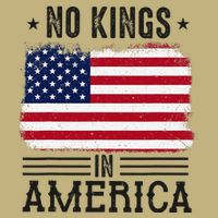 No Kings In America Flag Protest Save Democracy Cooling Performance Crew T-Shirt
