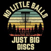 No Little Balls Just Big Discs Funny Disc Golf Toddler Hoodie