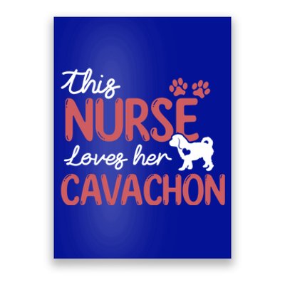 Nurse Loves Cavachon Dog Lovers Funny Gift For Mom Nurse Gift Poster