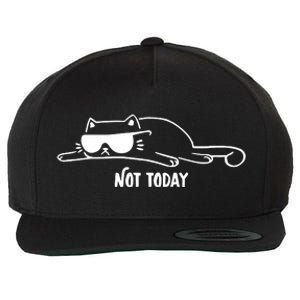 Nope Lazy Cat Not Today Wool Snapback Cap