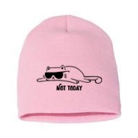 Nope Lazy Cat Not Today Short Acrylic Beanie