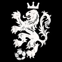 Netherlands Lion Dutch Orange Soccer Fan    Kids Hoodie