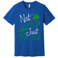 Not Lucky Just Blessed Funny St Patricks Day Leprechauns Gift Premium T-Shirt