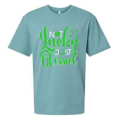 Not Lucky Just Blessed St Patrick's Day Gift Sueded Cloud Jersey T-Shirt