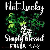 Not Lucky Simply Blessed St PatrickS Day Stripe Pom Pom Beanie