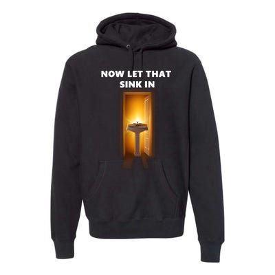 Now Let That Sink In Premium Hoodie