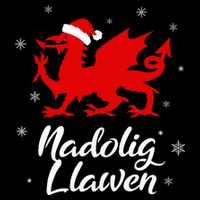 Nadolig Llawen Wales Welsh Cymru Merry Christmas Dragon 16 in Basic Backpack