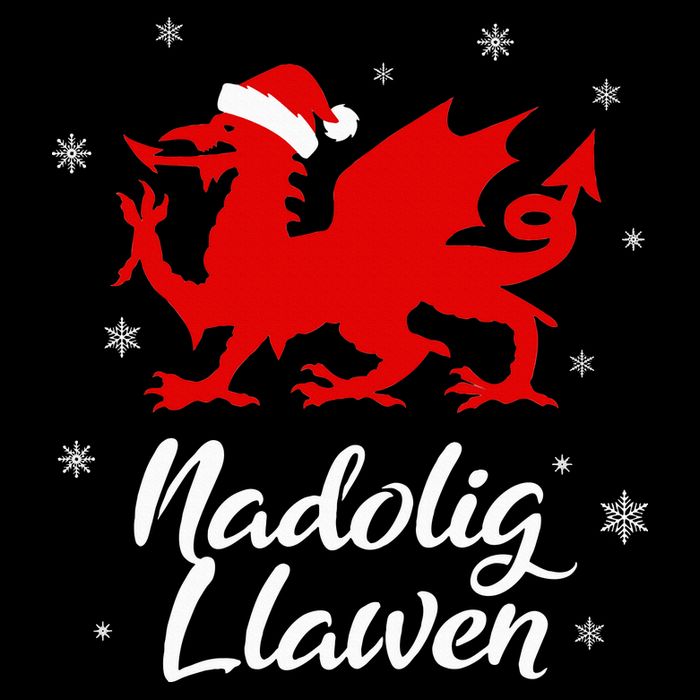 Nadolig Llawen Wales Welsh Cymru Merry Christmas Dragon 16 in Basic Backpack