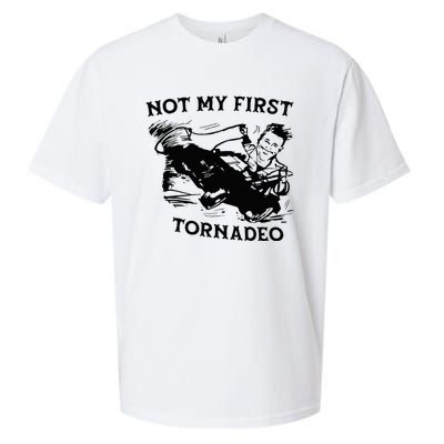 Not My 1st Tornado Vintage Retro Sueded Cloud Jersey T-Shirt