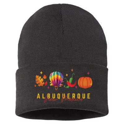 New Mexico Albuquerque Balloon Hot Air Balloon Festival Sustainable Knit Beanie