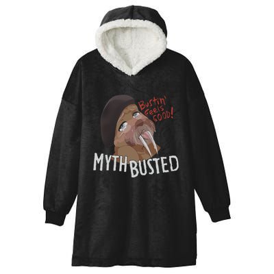 Nasty Myth Busted Hooded Wearable Blanket