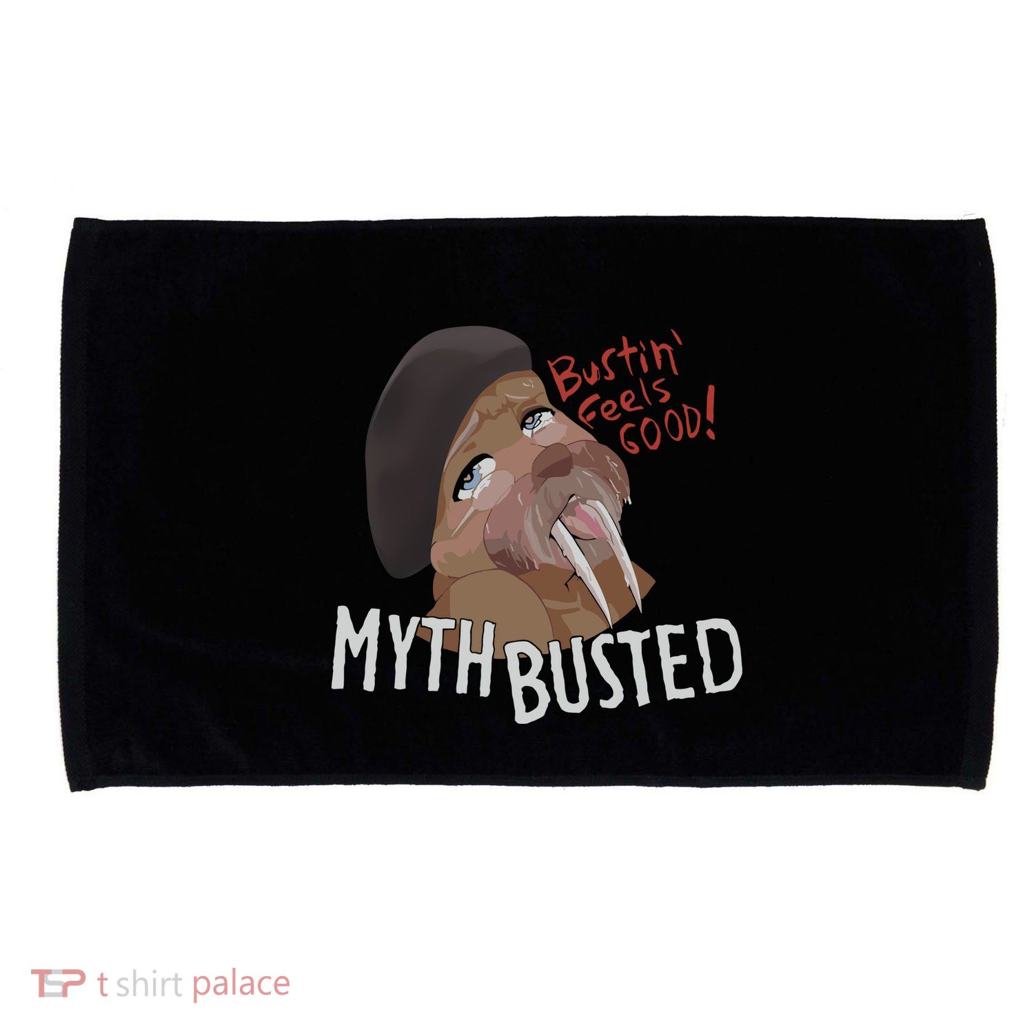Nasty Myth Busted Microfiber Hand Towel