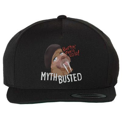 Nasty Myth Busted Wool Snapback Cap