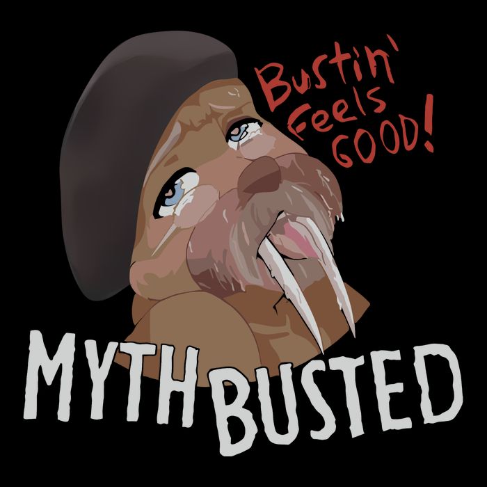 Nasty Myth Busted Wool Snapback Cap