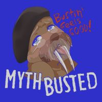 Nasty Myth Busted Bag