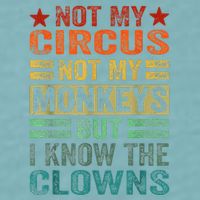 Not My Circus Not My Monkeys But I Know The Clowns Sueded Cloud Jersey T-Shirt