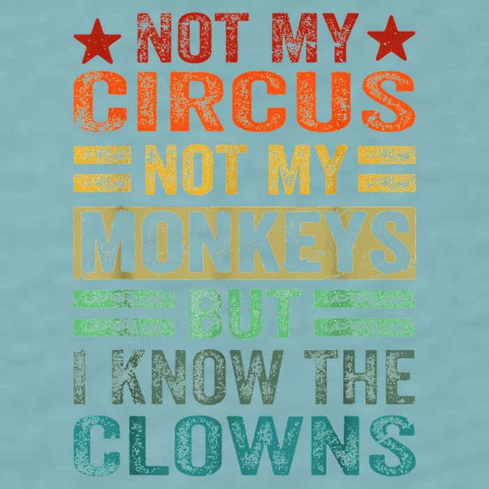 Not My Circus Not My Monkeys But I Know The Clowns Sueded Cloud Jersey T-Shirt