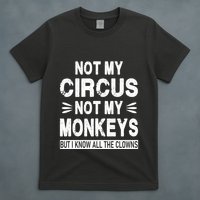 Not My Circus. Not My Monkeys. But I Know All The Clowns T-Shirt