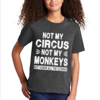 Not My Circus. Not My Monkeys. But I Know All The Clowns Kids T-Shirt