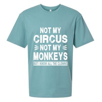 Not My Circus. Not My Monkeys. But I Know All The Clowns Sueded Cloud Jersey T-Shirt