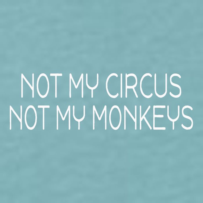Not My Circus Not My Monkeys Sarcasm Fun Sueded Cloud Jersey T-Shirt