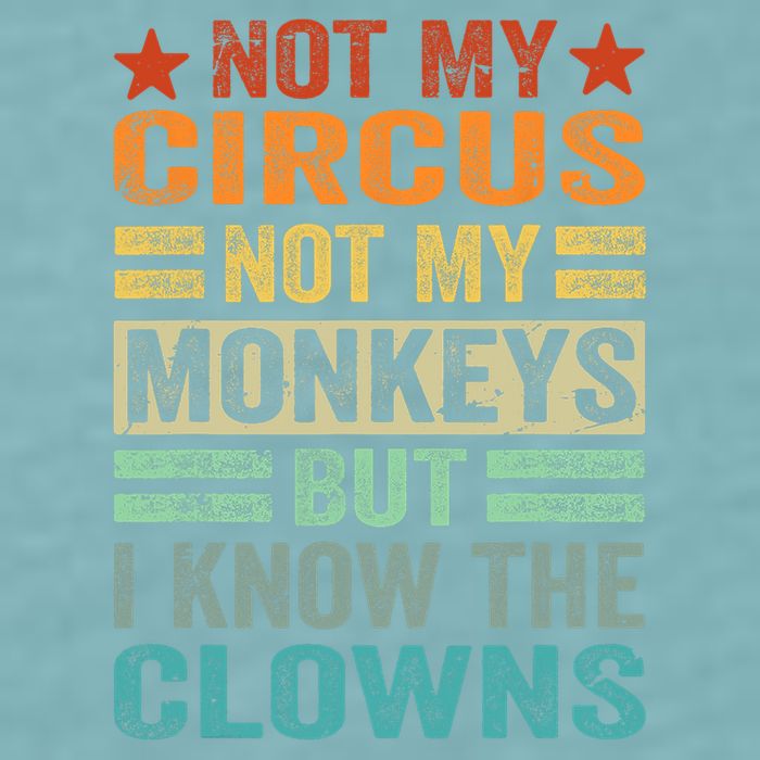 Not My Circus Not My Monkeys But I Know The Clowns Sueded Cloud Jersey T-Shirt