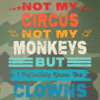 Not My Circus Not My Monkeys But I Definitely Know The Clown Legacy Tie Dye Trucker Hat