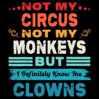 Not My Circus Not My Monkeys But I Definitely Know The Clown Stripe Pom Pom Beanie