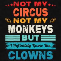 Not My Circus Not My Monkeys But I Definitely Know The Clown Ladies PosiCharge Tri-Blend Wicking Tank