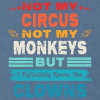 Not My Circus Not My Monkeys But I Definitely Know The Clown Garment-Dyed Sweatshirt