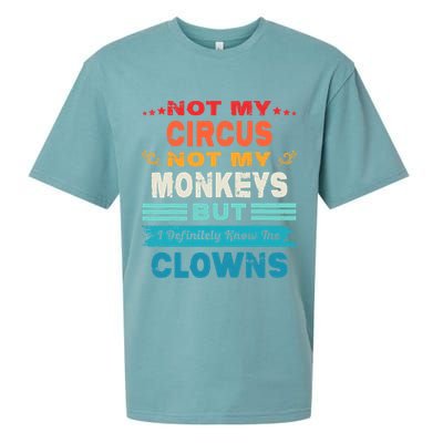 Not My Circus Not My Monkeys But I Definitely Know The Clown Sueded Cloud Jersey T-Shirt