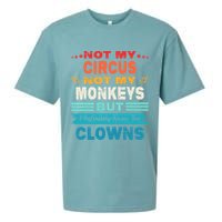 Not My Circus Not My Monkeys But I Definitely Know The Clown Sueded Cloud Jersey T-Shirt