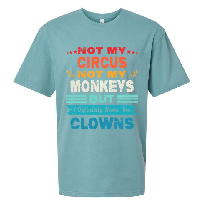 Not My Circus Not My Monkeys But I Definitely Know The Clown Sueded Cloud Jersey T-Shirt