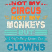 Not My Circus Not My Monkeys But I Definitely Know The Clown Sueded Cloud Jersey T-Shirt