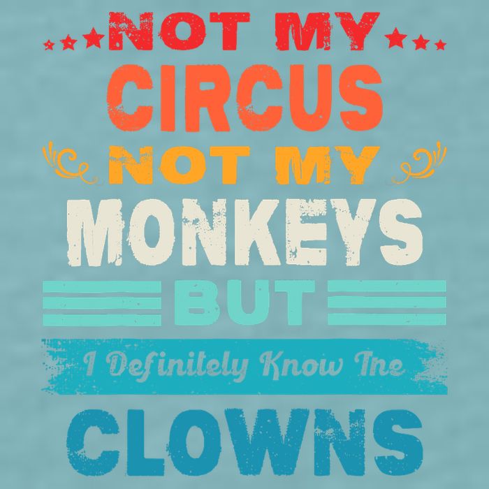 Not My Circus Not My Monkeys But I Definitely Know The Clown Sueded Cloud Jersey T-Shirt