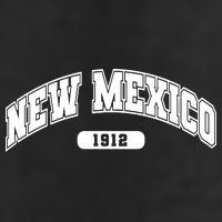 New Mexico Collegiate Style Adult Drive Performance Visor