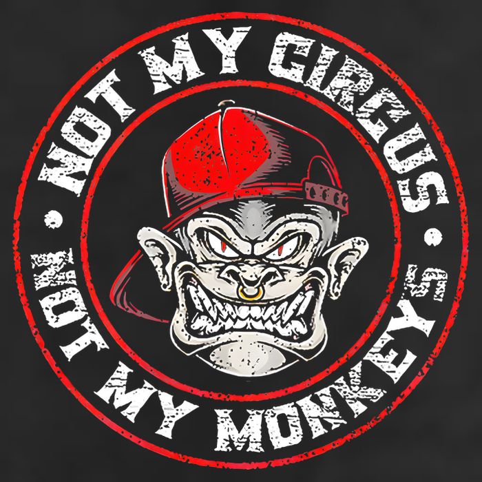 Not My Circus Not My Monkeys Premium Pullover Hoodie