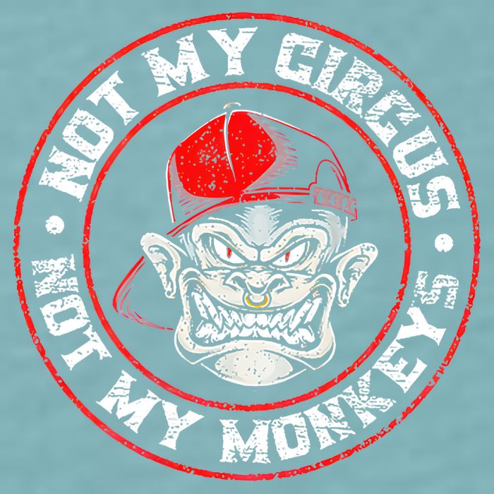 Not My Circus Not My Monkeys Sueded Cloud Jersey T-Shirt